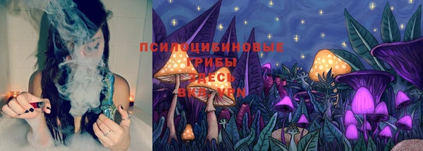 a pvp Краснослободск